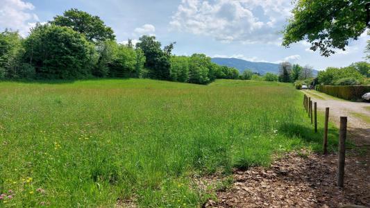 For sale Perrignier Haute savoie (74550) photo 2