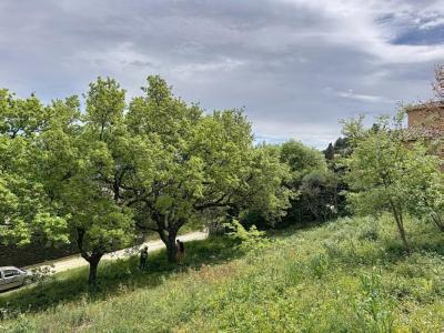 For sale Rochefort-du-gard 1128 m2 Gard (30650) photo 4