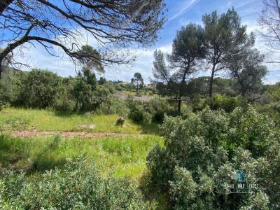 Acheter Appartement Frejus 460000 euros