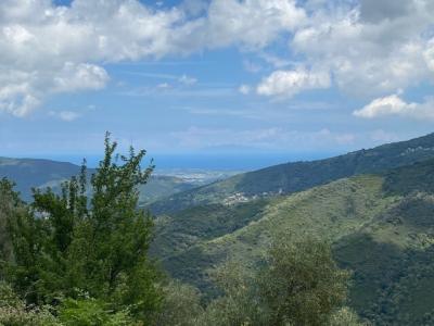 Annonce Vente 14 pices Maison Campile 20