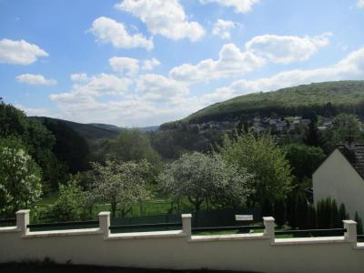Acheter Prestige Nouzonville 250000 euros
