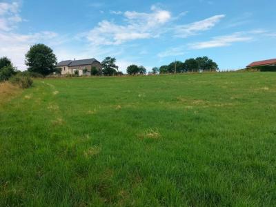 Acheter Terrain  Cantal