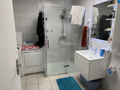 Acheter Immeuble  Moselle