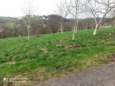 For sale Loire (42150) photo 0