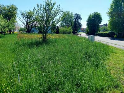 For sale Bas rhin (67170) photo 0