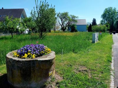 For sale Bas rhin (67170) photo 1