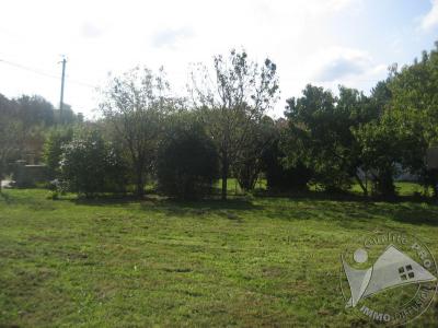 Acheter Terrain 331 m2 