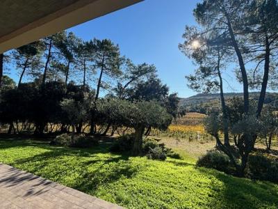 Acheter Maison 250 m2 