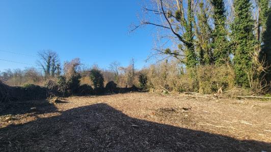 Annonce Vente Terrain Ocquerre 77