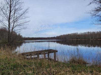For sale Citers 32767 m2 Haute saone (70300) photo 0