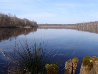 For sale Citers 32767 m2 Haute saone (70300) photo 4