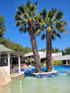 Acheter Prestige Martigues 1279000 euros