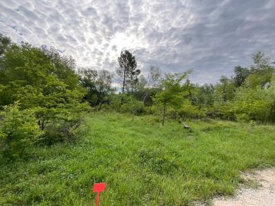 Acheter Terrain 1200 m2 Saint-genies-de-comolas