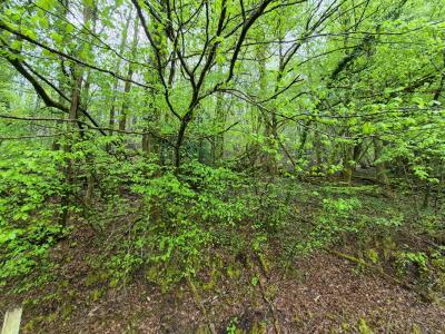 For sale Tulle 12706 m2 Correze (19000) photo 0