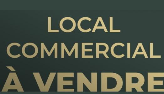Annonce Vente Commerce Noyal-sur-vilaine 35