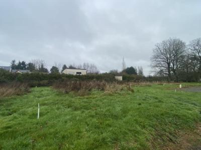 For sale Cesson-sevigne 452 m2 Ille et vilaine (35510) photo 0