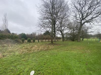 Annonce Vente Terrain Cesson-sevigne 35