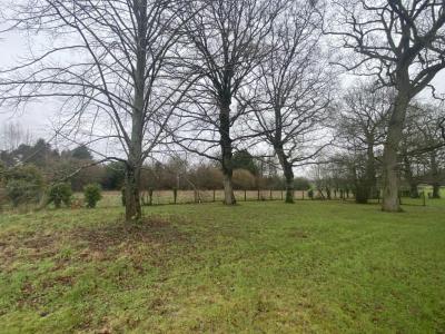 Acheter Terrain 459 m2 Cesson-sevigne