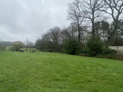 For sale Cesson-sevigne 606 m2 Ille et vilaine (35510) photo 0