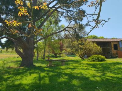 For sale Aux-aussat 8 rooms 260 m2 Gers (32170) photo 4