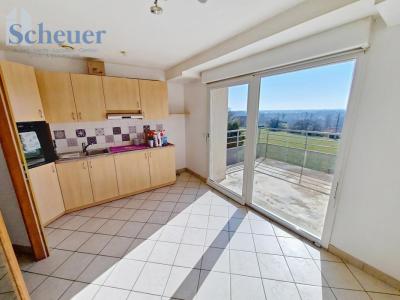 Annonce Location 3 pices Appartement Kolbsheim 67