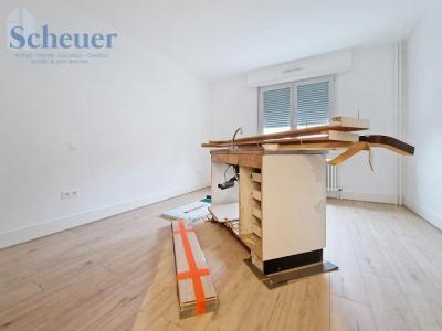 Annonce Location 3 pices Appartement Molsheim 67