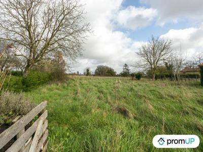 Annonce Vente Terrain Vieux-ruffec 16
