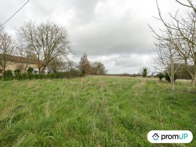 Acheter Terrain 7200 m2 Vieux-ruffec