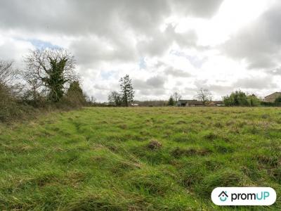 Acheter Terrain Vieux-ruffec Charente