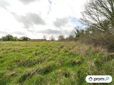 Acheter Terrain Vieux-ruffec 12000 euros