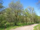 For sale Land Monteils 22925 m2