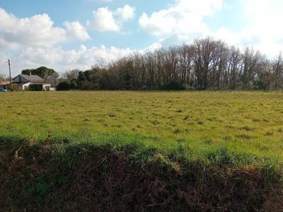 Annonce Vente Terrain Challans 85