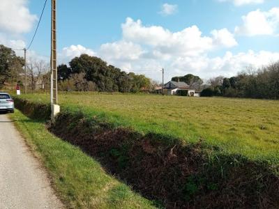 Annonce Vente 3 pices Maison Aiguillon-sur-vie 85