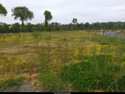 Annonce Vente Maison Aubigny 85