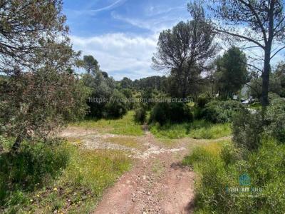 For sale Frejus 3 rooms 74 m2 Var (83600) photo 4