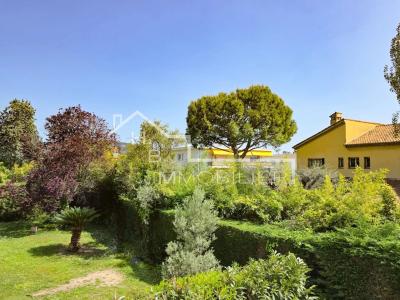 Acheter Appartement Nice Alpes Maritimes