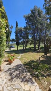 For sale Narbonne 6 rooms 147 m2 Aude (11100) photo 3