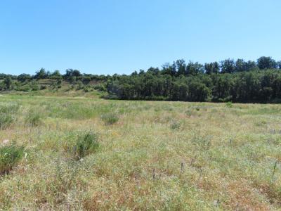 Annonce Vente Terrain  26