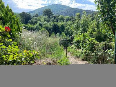 For sale AU COEUR DU VILLAGE 8 rooms 167 m2 Herault (34390) photo 2