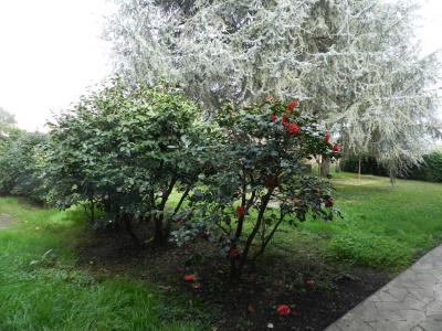 For sale LYCE, COLES, COMMERCES 7 rooms 290 m2 Lot et garonne (47190) photo 3