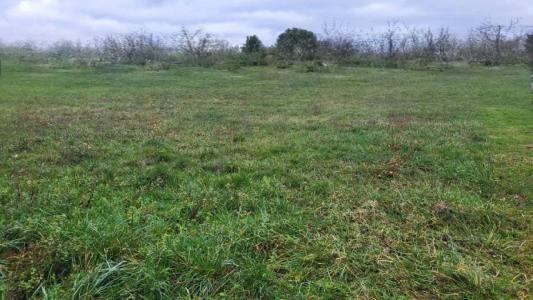 For sale 1138 m2 Haute garonne (31230) photo 1