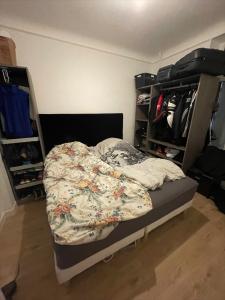Annonce Location 3 pices Appartement Rehon 54