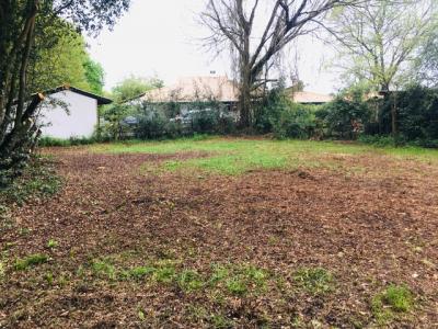 For sale Cestas 537 m2 Gironde (33610) photo 0