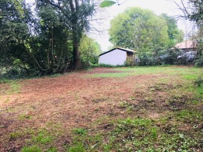 Annonce Vente Terrain Cestas 33