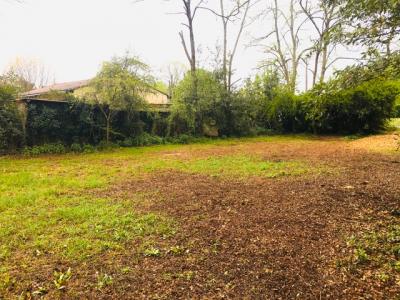 Acheter Terrain 537 m2 Cestas