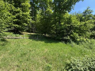 Annonce Vente 4 pices Maison Vernou-sur-brenne 37