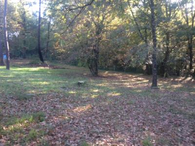 For sale Sanguinet 530 m2 Landes (40460) photo 0