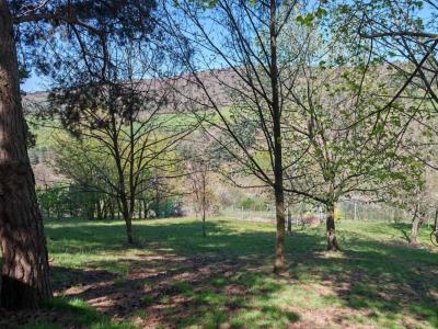 Acheter Terrain 880 m2 Savas