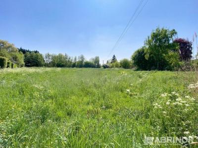 For sale Orchies 1943 m2 Nord (59310) photo 0