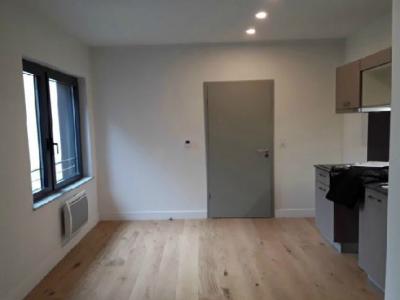 For rent Nancy 2 rooms 46 m2 Meurthe et moselle (54000) photo 0